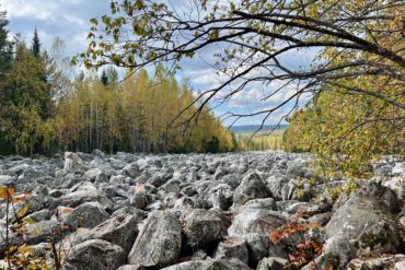 Осень — время урожая